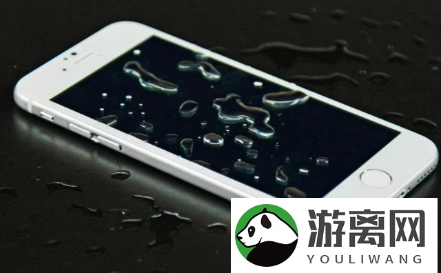iphone手机进水充不进去电怎么办(iphone手机进水汽处理方法)