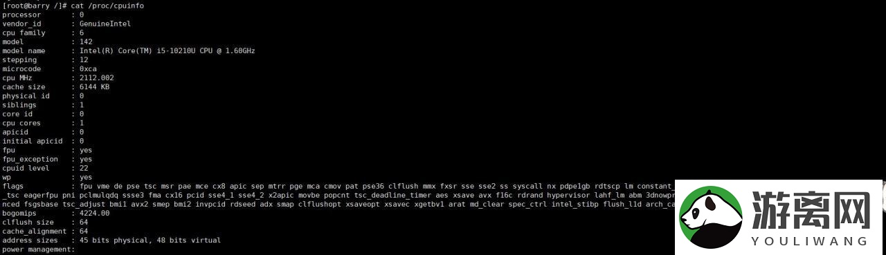 linux如何通过命令看系统信息(查看linux系统信息方法)