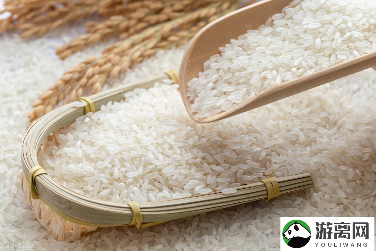 粳米与籼米哪个适合焖饭吃（哪种米煮饭的味道更好吃）