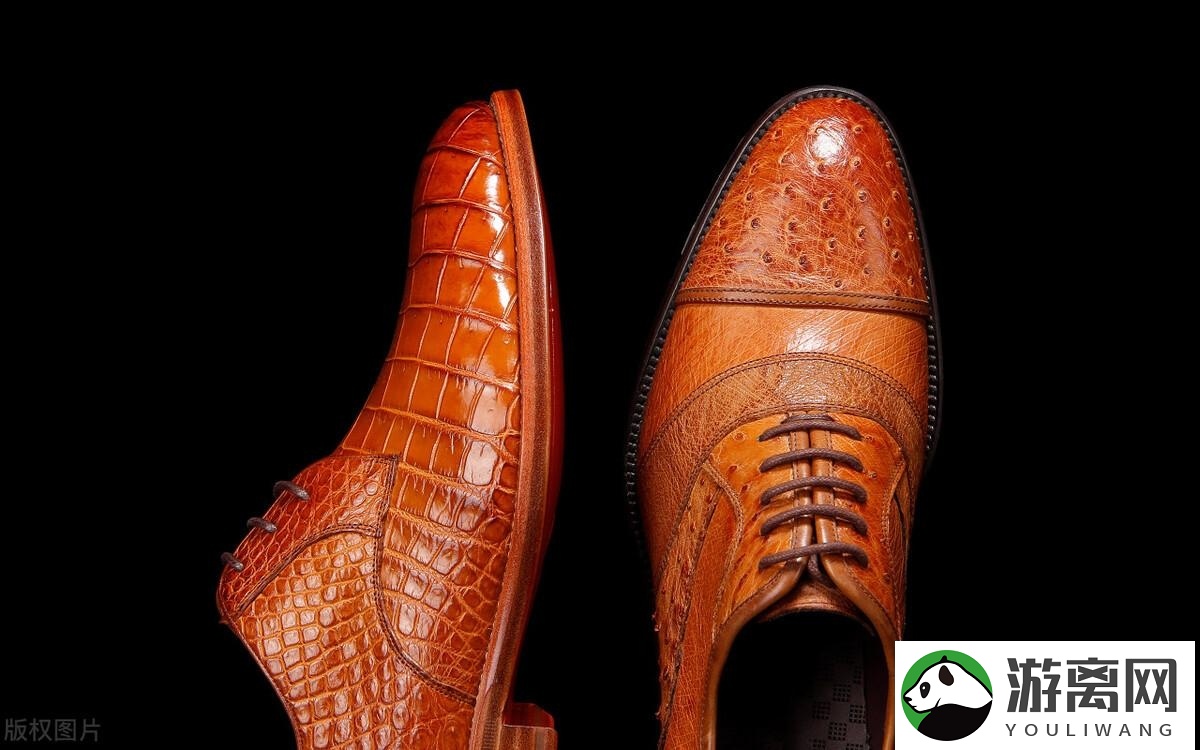 皮鞋保养小常识（正确清洁护理皮鞋的4个方法）