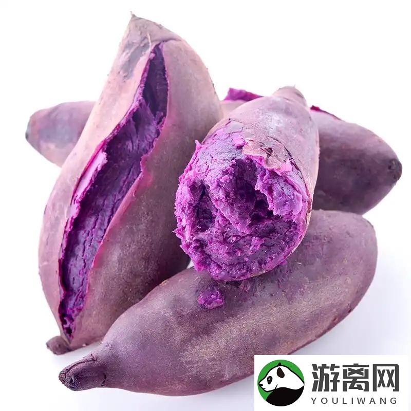 紫薯是转基因食品吗（所谓杂交和转基因有什么不同）